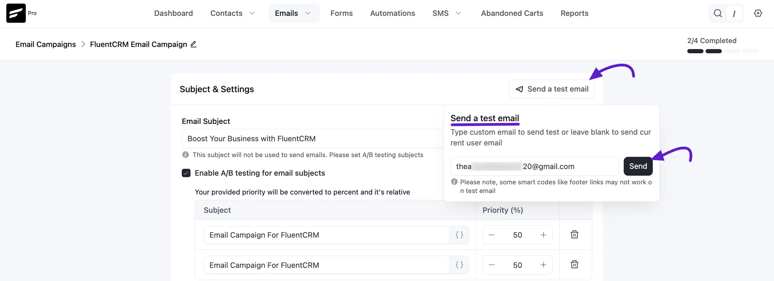 crm campaign testsend