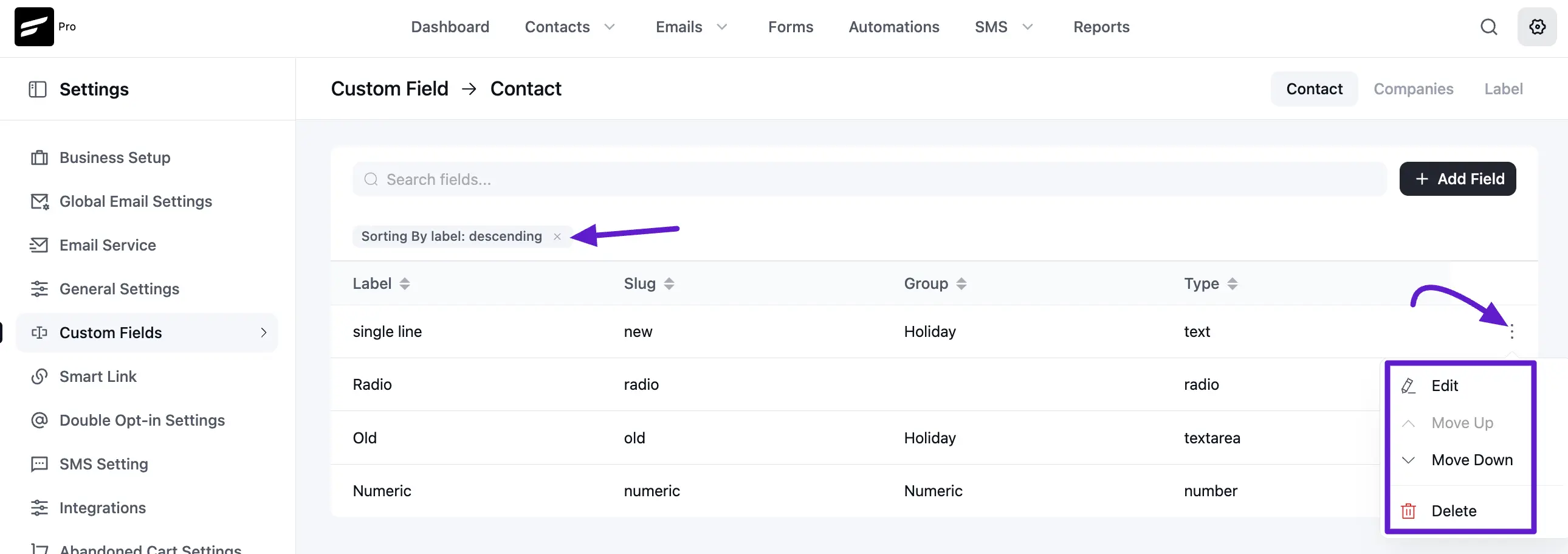 custom fields fluentcrm 02 24 2025 06 24 pm